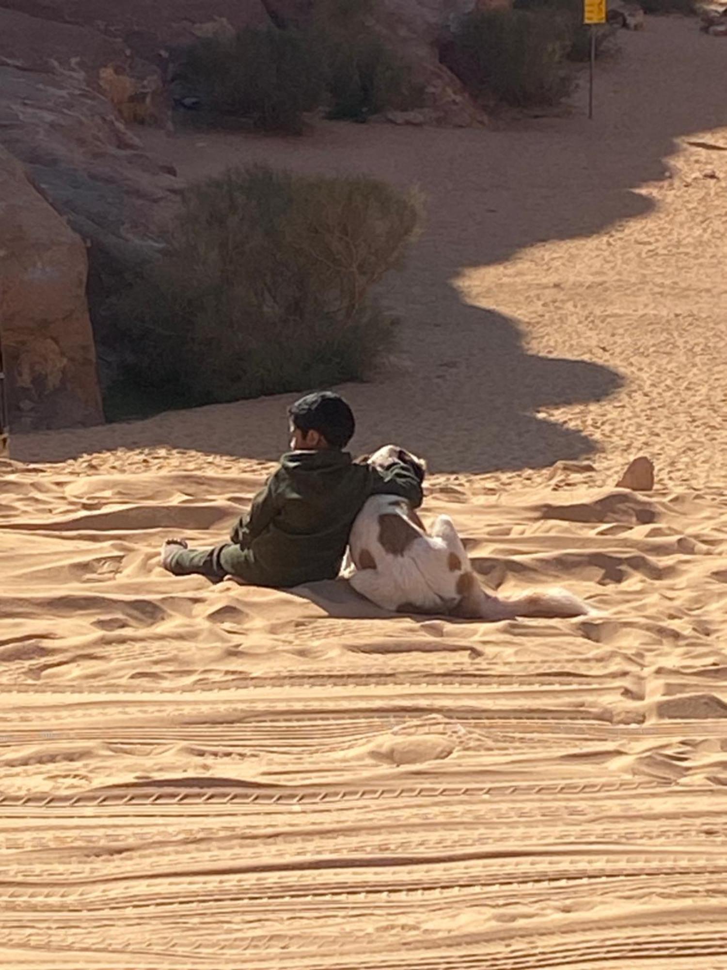 Wadi Rum Bedouin Heart Camp Exteriér fotografie