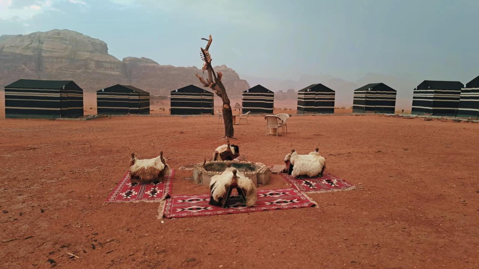 Wadi Rum Bedouin Heart Camp Exteriér fotografie